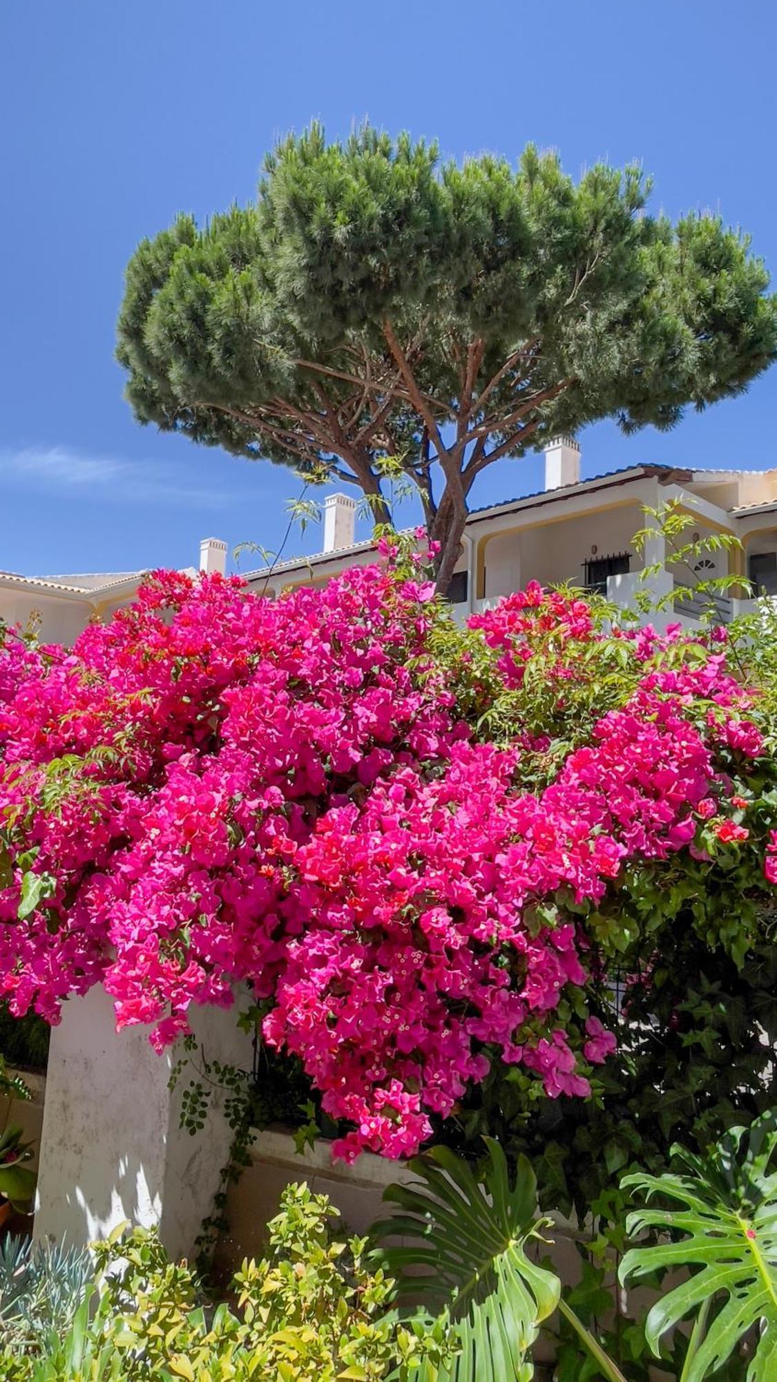 Verde Pino Vilamoura Exterior photo